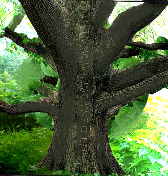 HS CODE Chapters 06 LIVE TREES OTHER PLANTS 4 digits